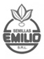 emilio