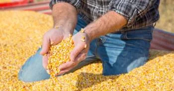  La agroindustria aumentó un 56% los volúmenes embarcados al exterior en 2024