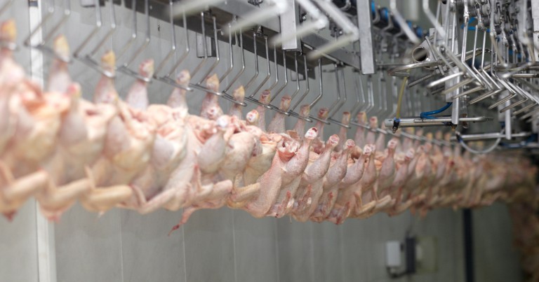argentina-logro-la-reapertura-del-mercado-del-reino-unido-para-la-carne-aviar