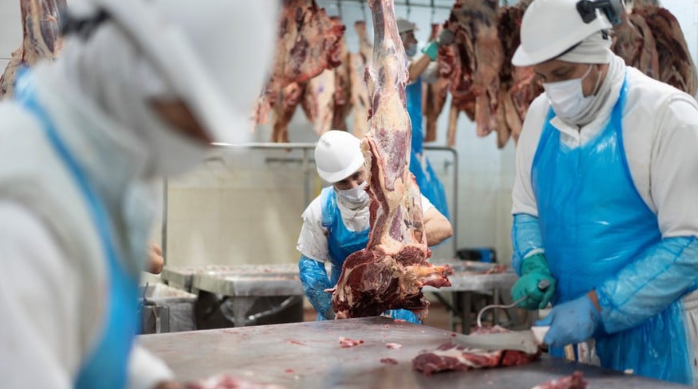record-de-los-volumenes-de-exportaciones-agroindustriales-que-productos-crecieron-mas