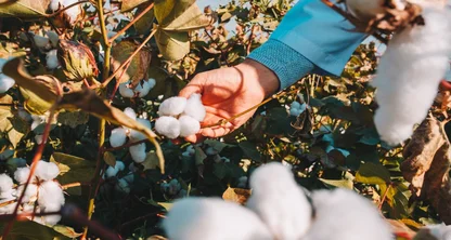 La agroindustria sigue sumando exportaciones a valores históricos