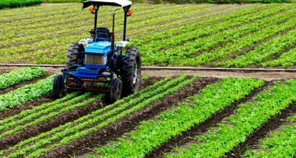 Exportar Maquinarias Agrícolas al Mundo: innovación que cruza fronteras