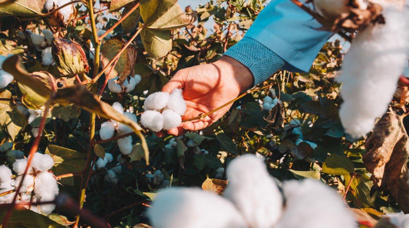 la-agroindustria-sigue-sumando-exportaciones-a-valores-históricos
